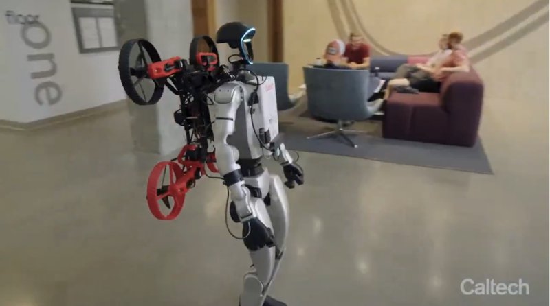 Robotische Synergie: Die Zukunft ist Teamarbeit