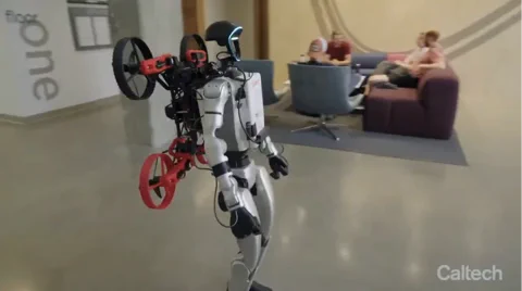 Robotische Synergie: Die Zukunft ist Teamarbeit