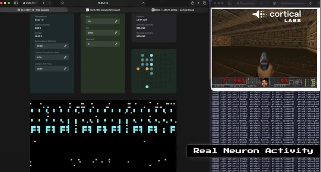 Emberi agysejtek írják a szöveget: a DOOM után jöhet az LLM