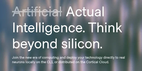 Ein Screenshot der Cortical Labs Entwicklerdokumentation, der Python-Code für die Installation des SDK zeigt.