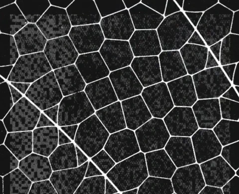 Anthropics Glasswing: Skynet stoppen, bevor es beginnt