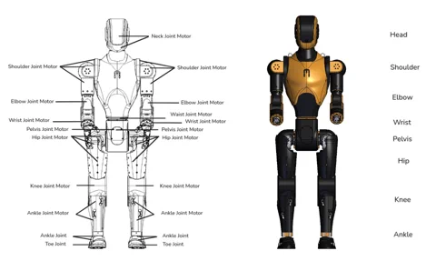 Diagramm des humanoiden Roboters Asimov 1, das die Positionen aller Gelenkmotoren zeigt.