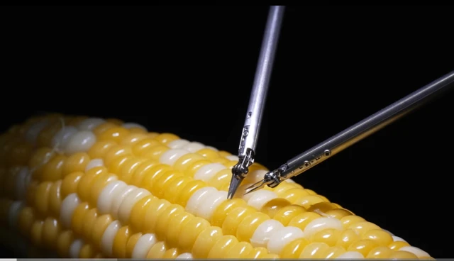 Sony-Roboter näht Maiskorn: Meisterstück der Mikrochirurgie