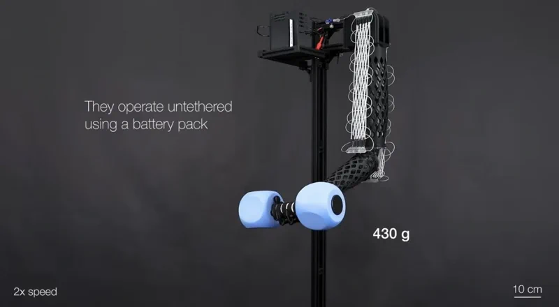 Waschbare Muskelfasern: Textil-Kraftpaket hebt das 200-fache