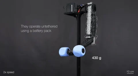 Waschbare Muskelfasern: Textil-Kraftpaket hebt das 200-fache