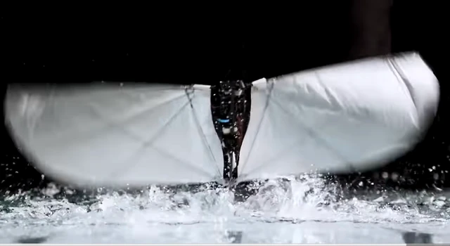 MITs neuer Robotervogel fliegt, schwimmt und springt aus Wasser