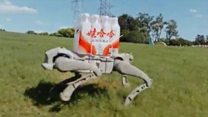 AgiBot stellt Trio von vierbeinigen Robotern vor