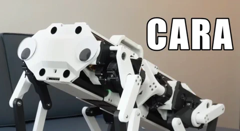 CARA: Die Revolution des seilbetriebenen Roboterhundes