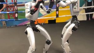 Roboter-Rumble: VR-gesteuerte Bots bereiten sich auf den Kampf vor