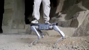 Unitree A2: Der Stellar Hunter definiert Robotik neu