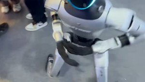 Unitree H1 greift Dennis Hong an, apology übersprungen