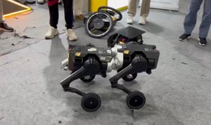 Roboter werden kuschelig: modulare Bots vereinen sich auf der IROS 2025
