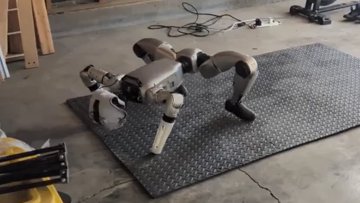 Unitree G1 Humanoid vergisst zu laufen