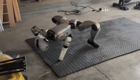 Unitree G1 Humanoid vergisst zu laufen