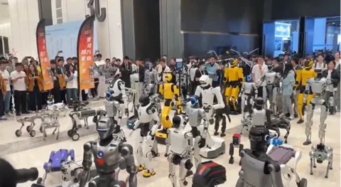 Chinas Roboter dominieren die IROS 2025 Messe