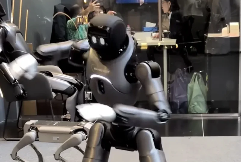 Mangsbot Robot tanzt auf der GITEX 2025
