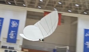 Schmetterling-Kopie: Echt oder gruselig?