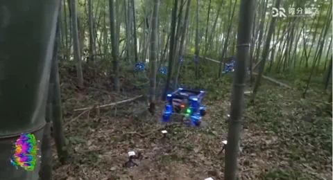 Zhejiang Uni Drohnen-Schwarm durchquert dichten Wald autonom