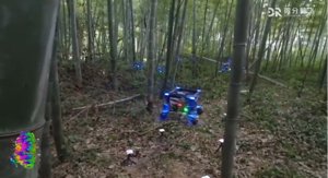 Zhejiang Uni Drohnen-Schwarm durchquert dichten Wald autonom