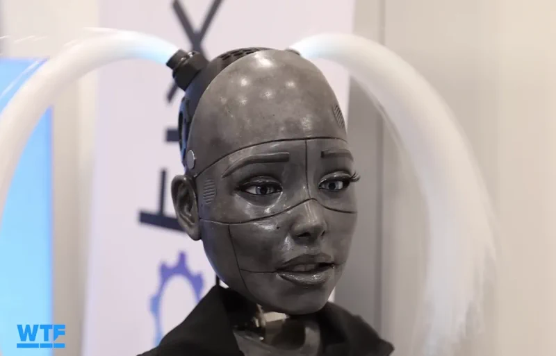 Ismerd meg Davidet, a Realbotix robotot, mágneses személyiséggel