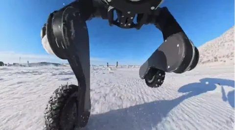 Deep Robotics M20: Eiskalter Drift-Test bei -30°C