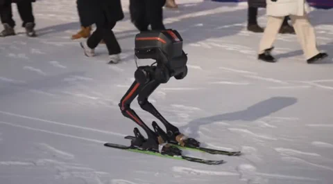 LimX TRON 1 fährt Ski bei -20°C – Boston Dynamics, Sie sind am Zug!