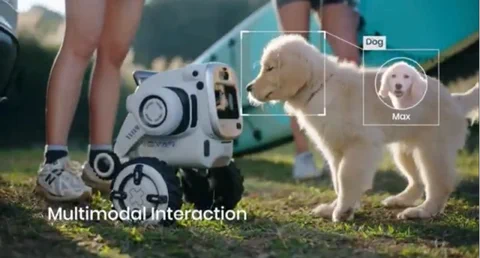 Rovar: Sentigents Outdoor-Roboter bewacht jetzt dein Camp