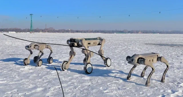 Genisoms Roboter sind besser im Wintersport als du 🤖❄️
