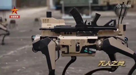 Chinas Roboter-Wolfsrudel: Sturmgewehre auf vier Pfoten