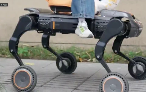 Unitree B2 Roboterhund spielt Nanny und bringt Kind zur Schule