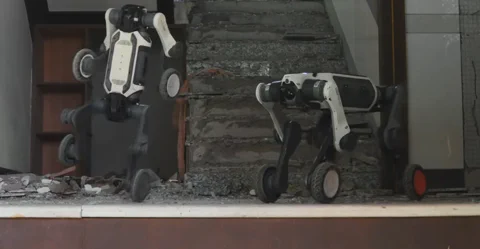 Deep Robotics Lynx S10: Kleiner Schrecken auf vier Rädern