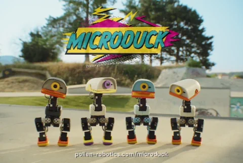 Diese 399 $ Roboter-Ente lehrt dich Reinforcement Learning