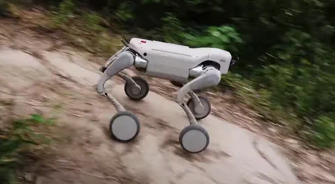 GENISOM L2 Roboterhund trägt 150kg und erklimmt 40° Hänge