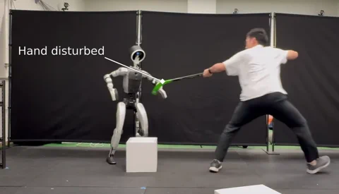 Dieser Humanoid gibt nicht auf, selbst wenn man ihn schubst