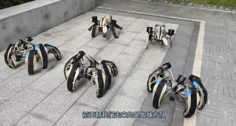 Mini-Roboterarmee: Die Zukunft der Kriegsführung?