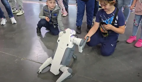 Roboterhund begeistert Kinder auf der Poznań Motor Show 2025
